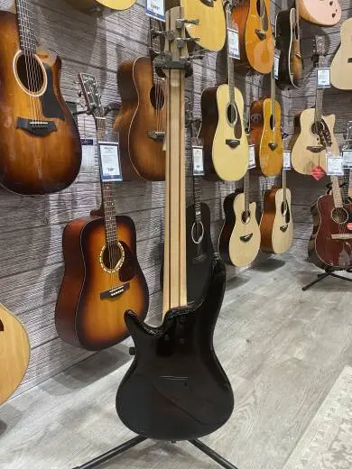 Ibanez Fretless Bass - 5 String 2